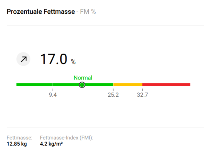 Koerperanalyse_2