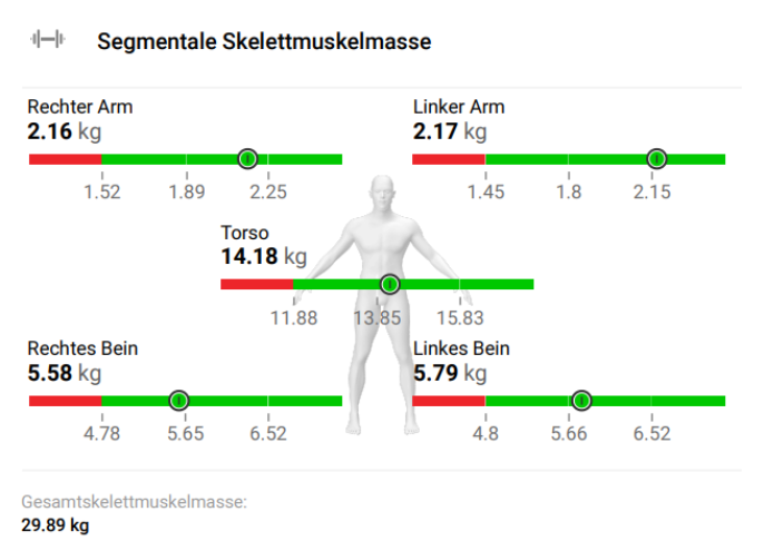 Koerperanalyse_3