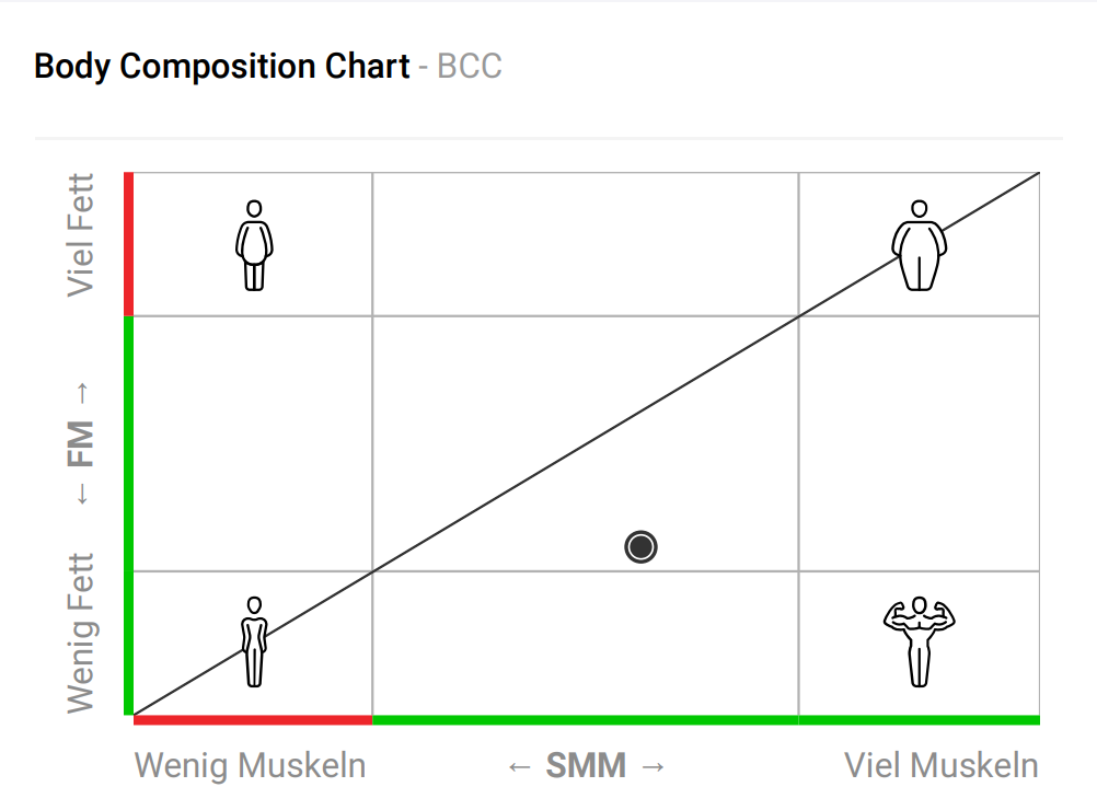 body-composition-chart